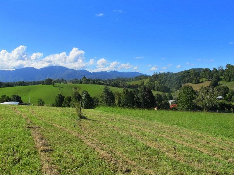 9 Crawford Close BELLINGEN NSW, Bellingen - Thumbnail 4