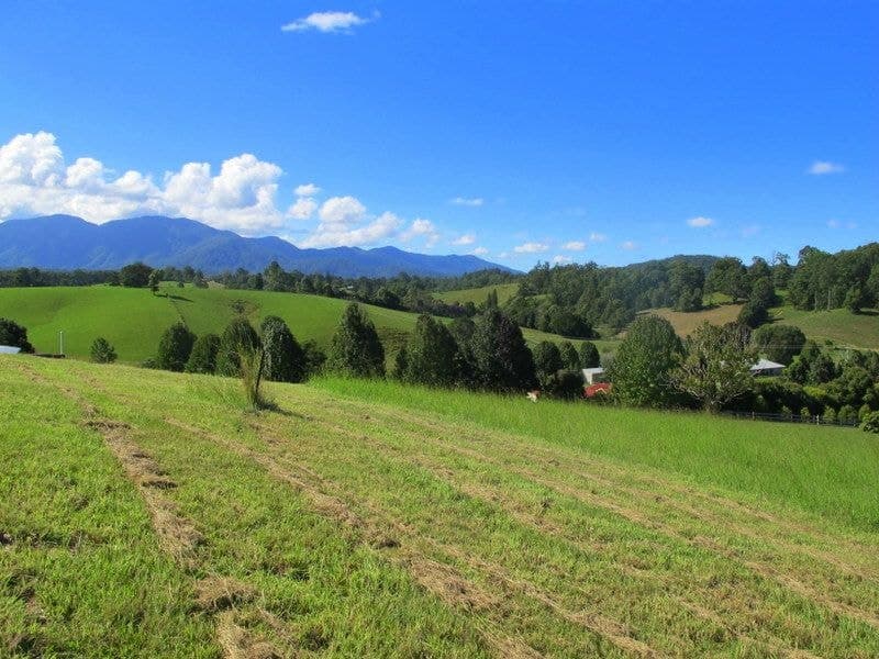 9 Crawford Close BELLINGEN NSW, Bellingen - Thumbnail 5