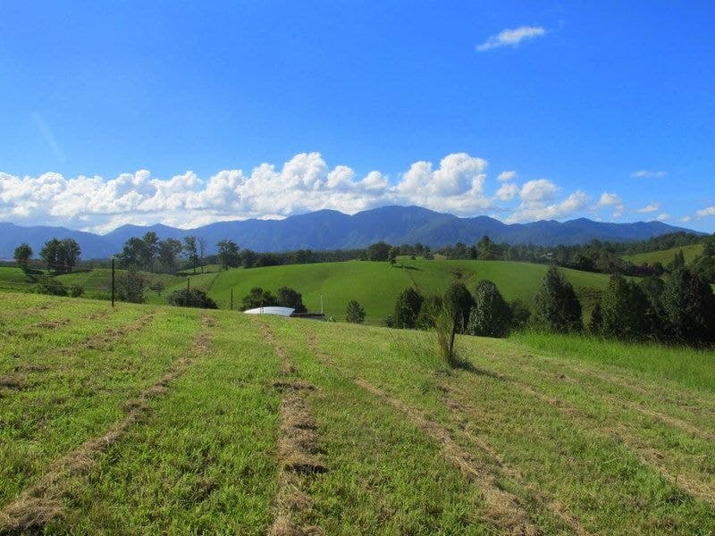 9 Crawford Close BELLINGEN NSW, Bellingen - Thumbnail 7