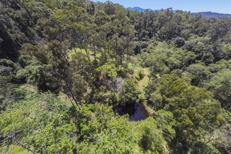 49 Pulsford Place FERNMOUNT NSW, Fernmount - Image 1