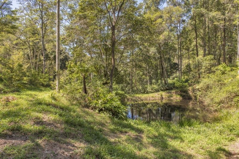 49 Pulsford Place FERNMOUNT NSW, Fernmount - Thumbnail 2