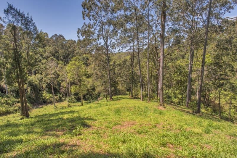 49 Pulsford Place FERNMOUNT NSW, Fernmount - Thumbnail 4