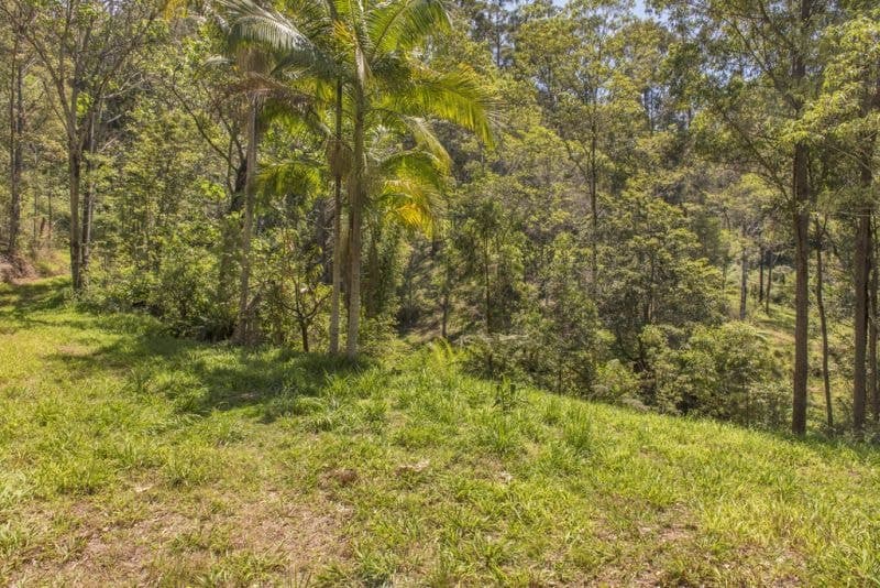 49 Pulsford Place FERNMOUNT NSW, Fernmount - Thumbnail 6