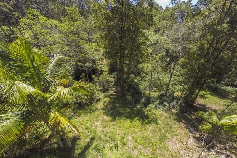 49 Pulsford Place FERNMOUNT NSW, Fernmount - Thumbnail 8
