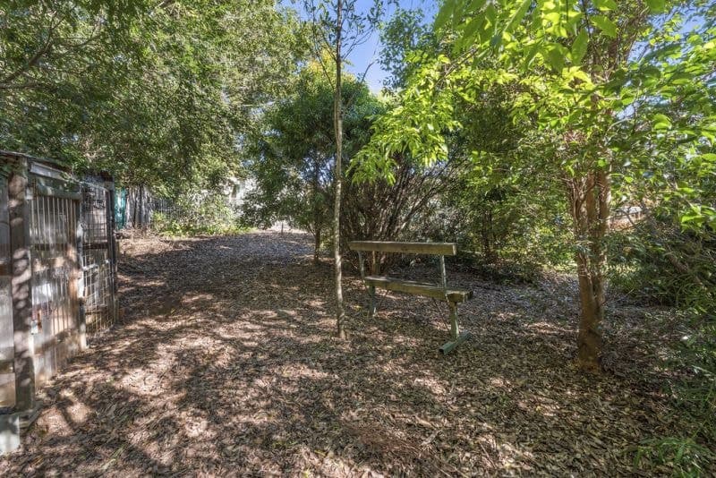 10 Kenny Close BELLINGEN NSW, Bellingen - Thumbnail 8