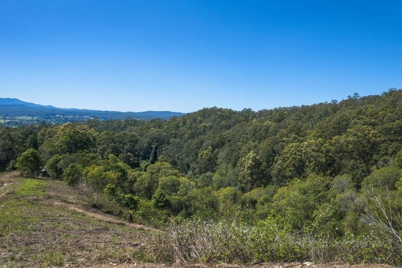 11 Bowraville Road BELLINGEN NSW, Bellingen - Thumbnail 5