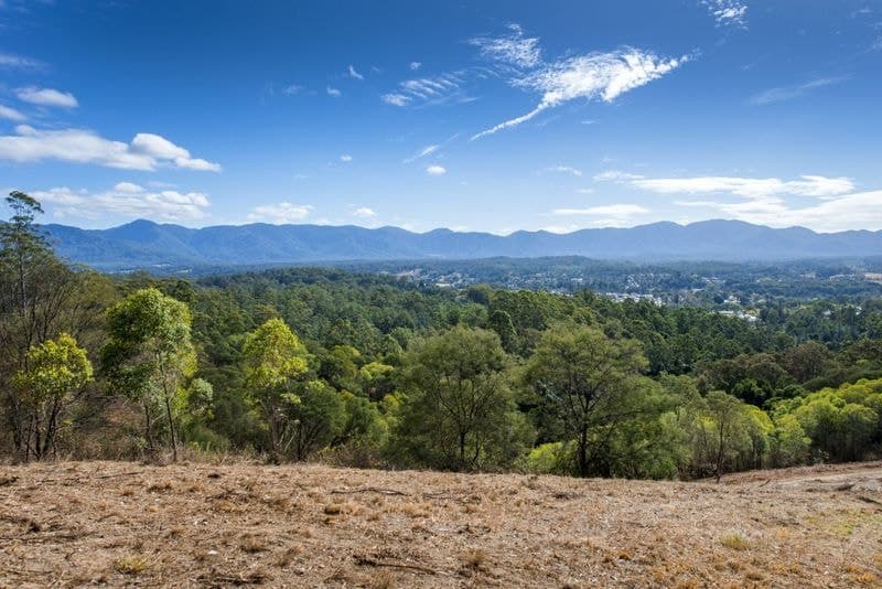 11 Bowraville Road BELLINGEN NSW, Bellingen - Thumbnail 8