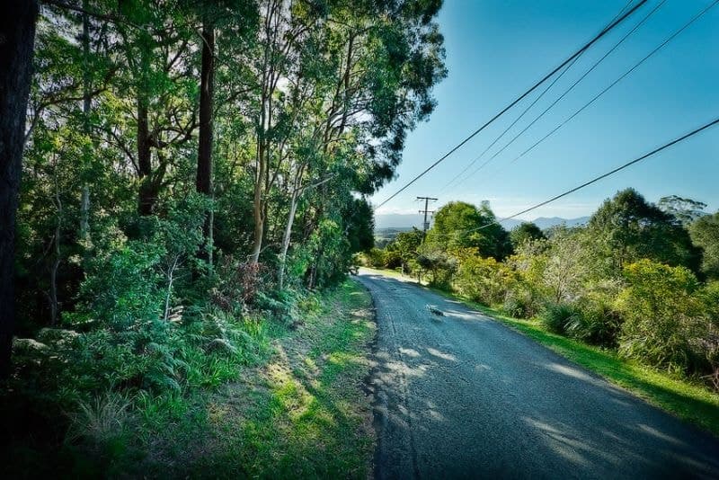 16 Mount Street FERNMOUNT NSW, Fernmount - Thumbnail 6