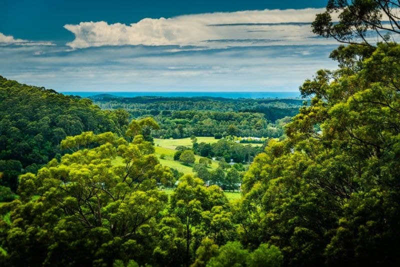 543 Crossmaglen Road BONVILLE NSW, Bonville - Thumbnail 3