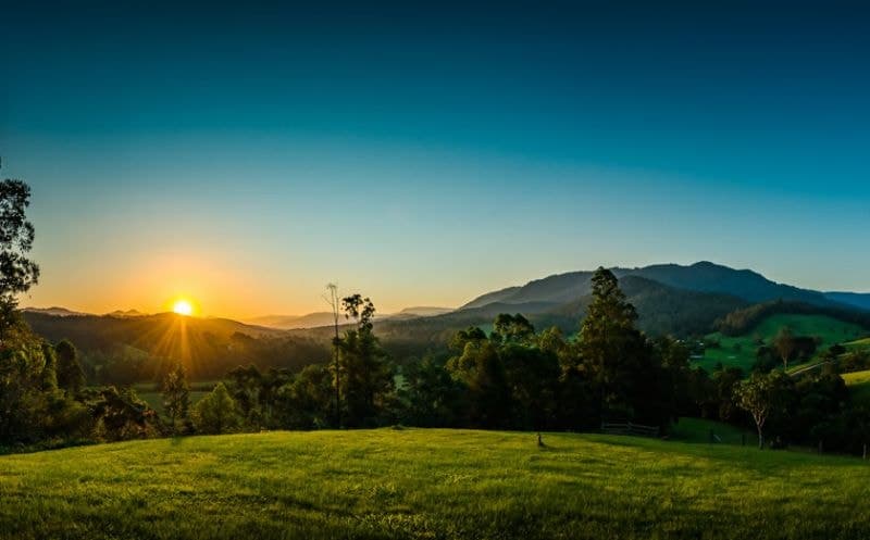 2727 Waterfall Way. BELLINGEN NSW, . Bellingen - Thumbnail 3