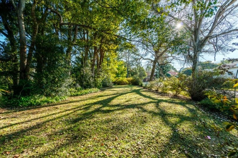 8 Mary Street BELLINGEN NSW, Bellingen - Thumbnail 3