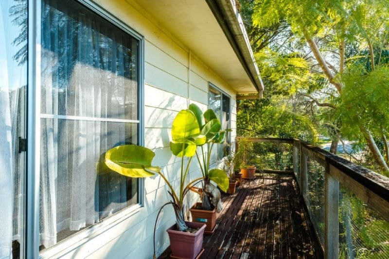 8 Mary Street BELLINGEN NSW, Bellingen - Thumbnail 6