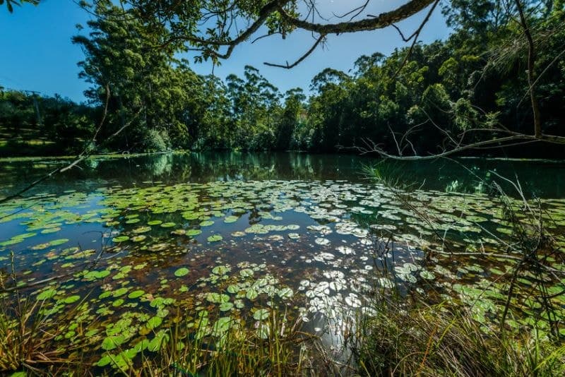 468 Sullivans Road VALLA NSW, Valla - Thumbnail 5