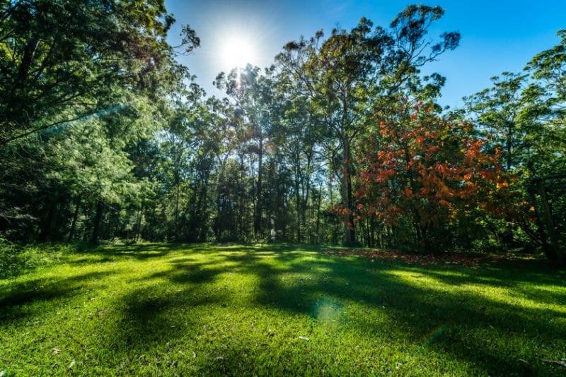 468 Sullivans Road VALLA NSW, Valla - Thumbnail 8