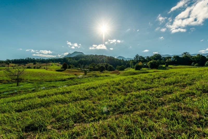 448 Gordonville Road GLENIFFER NSW, Gleniffer - Thumbnail 4