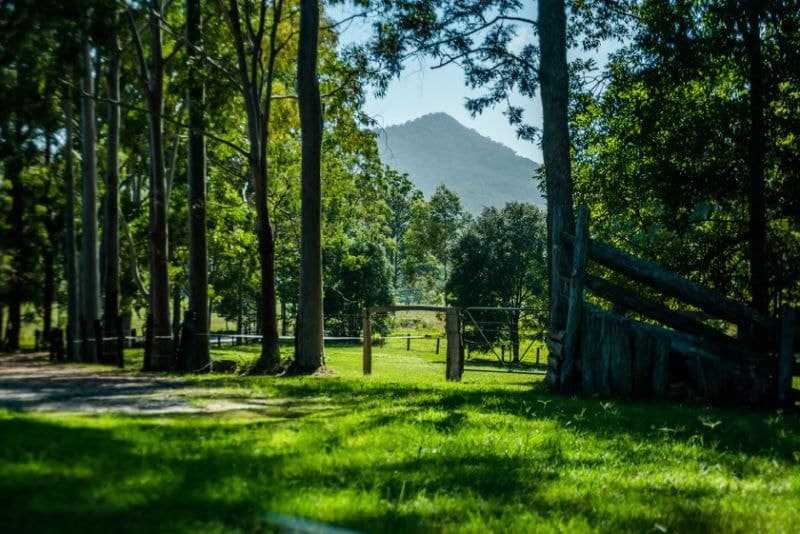 375 Valla Road VALLA NSW, Valla - Thumbnail 5