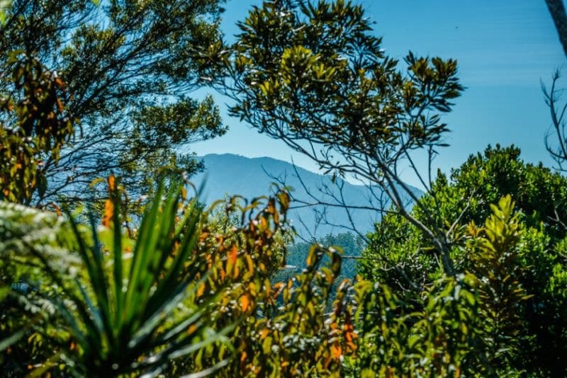 55 William Street BELLINGEN NSW, Bellingen - Thumbnail 2