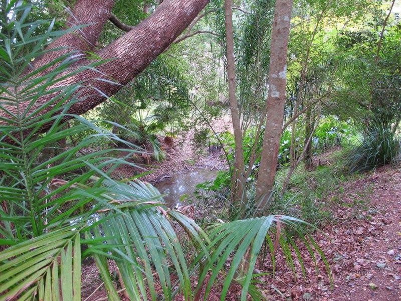 7 Dillon Close BELLINGEN NSW, Bellingen - Thumbnail 3