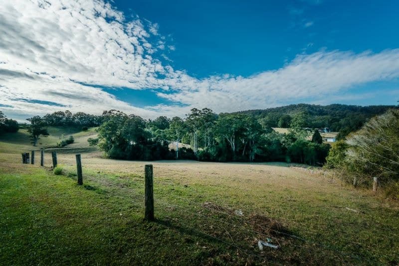595 Bowraville Road BELLINGEN NSW, Bellingen - Thumbnail 3