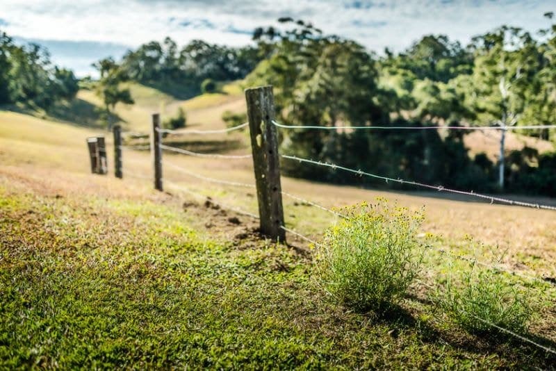 595 Bowraville Road BELLINGEN NSW, Bellingen - Thumbnail 7
