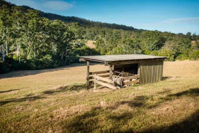 595 Bowraville Road BELLINGEN NSW, Bellingen - Thumbnail 8