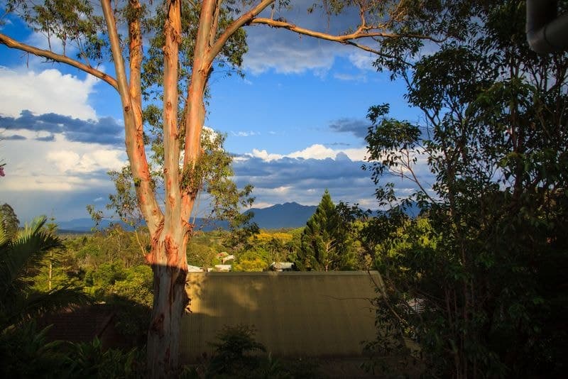 56 Lyon Street BELLINGEN NSW, Bellingen - Image 1