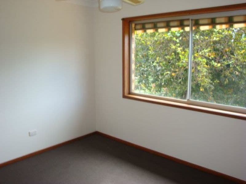 14 Crown St BELLINGEN NSW, Bellingen - Thumbnail 5