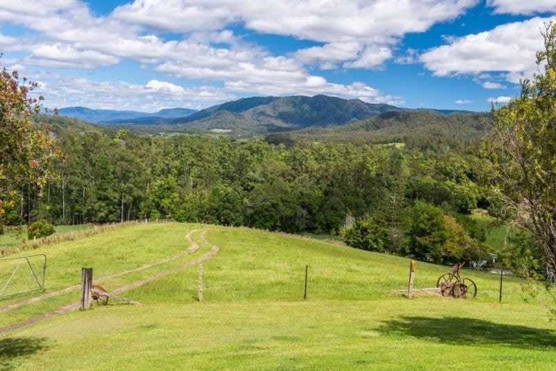 2209 Waterfall Way BELLINGEN NSW, Bellingen - Thumbnail 2