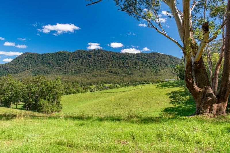 2209 Waterfall Way BELLINGEN NSW, Bellingen - Thumbnail 5