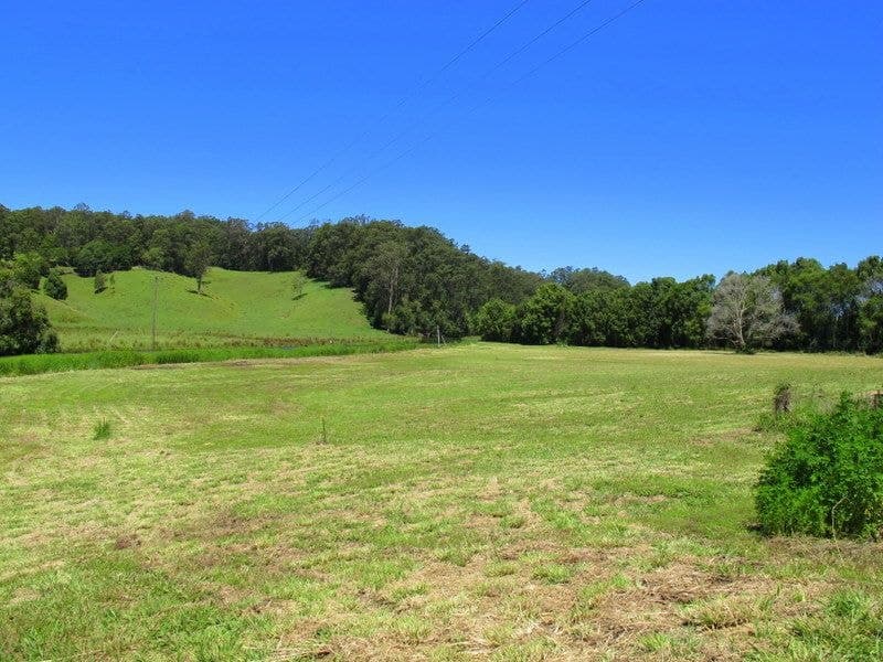 382 North Bank Road BELLINGEN NSW, Bellingen - Thumbnail 5