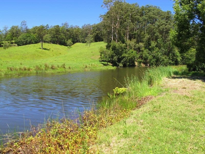 382 North Bank Road BELLINGEN NSW, Bellingen - Thumbnail 6