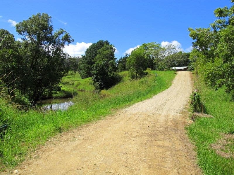 382 North Bank Road BELLINGEN NSW, Bellingen - Thumbnail 7