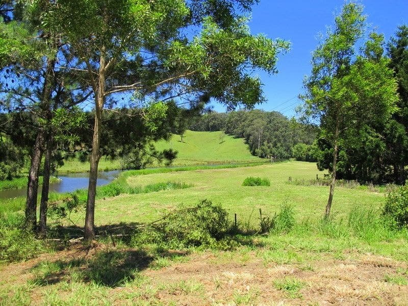 382 North Bank Road BELLINGEN NSW, Bellingen - Thumbnail 8