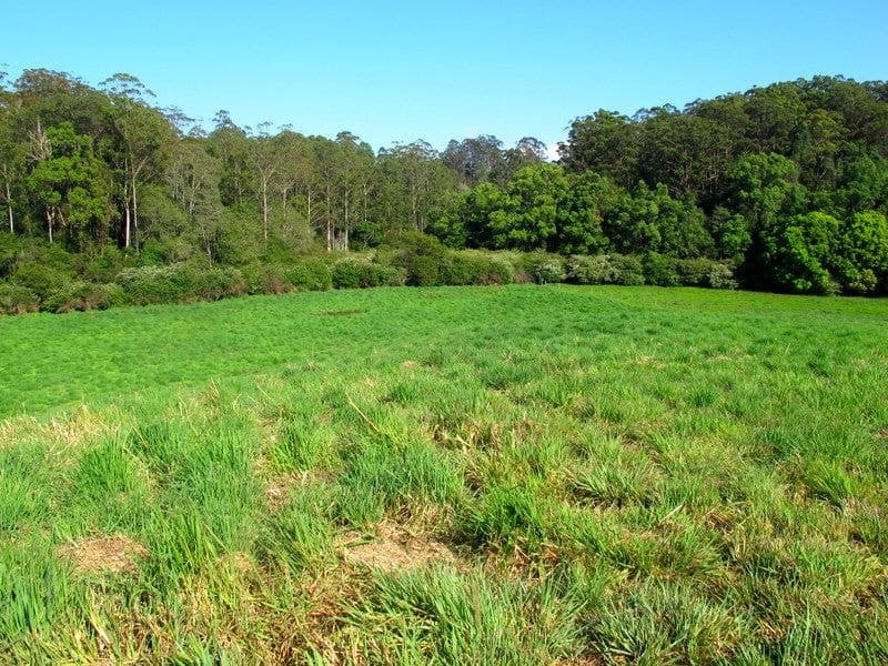 217 Mount St FERNMOUNT NSW, Fernmount - Image 1