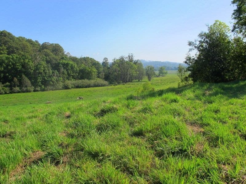217 Mount St FERNMOUNT NSW, Fernmount - Thumbnail 2