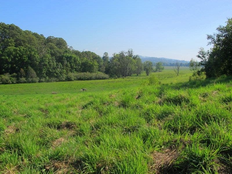 217 Mount St FERNMOUNT NSW, Fernmount - Thumbnail 4