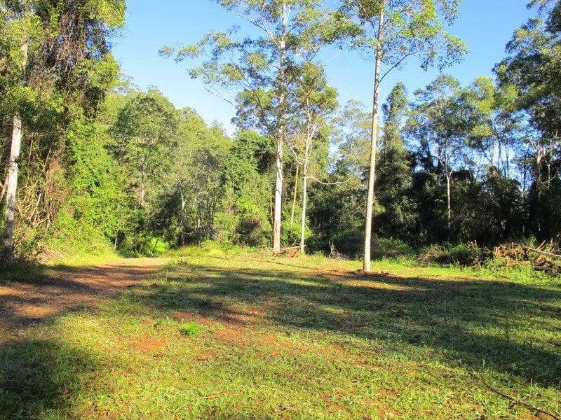 Lot 95 & 302 Kennaicle Creek Road MISSABOTTI NSW, Missabotti - Thumbnail 3