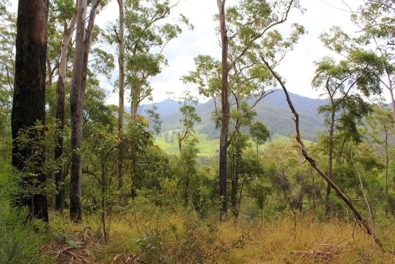 Lot 95 & 302 Kennaicle Creek Road MISSABOTTI NSW, Missabotti - Thumbnail 7
