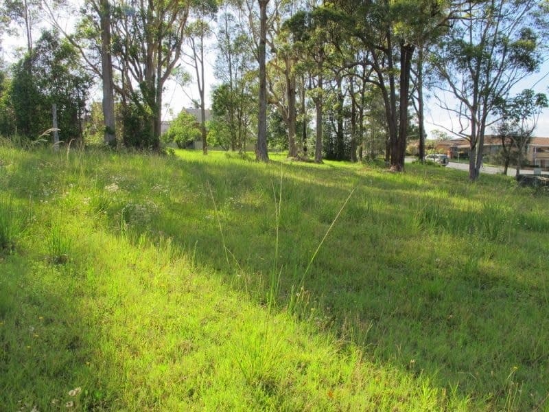 22 Lalaguli Drive TOORMINA NSW, Toormina - Thumbnail 3
