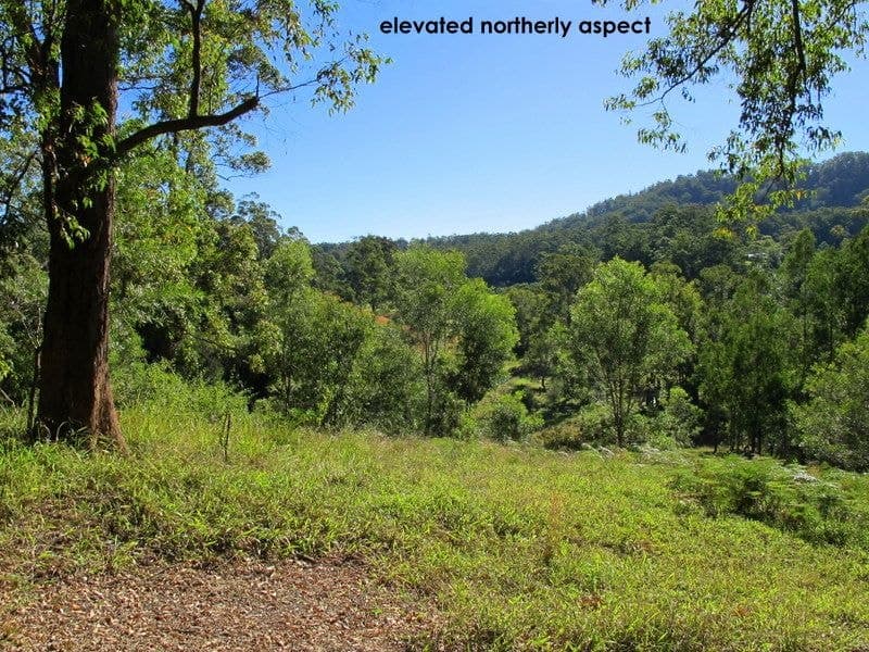 1690 Bowraville Road BELLINGEN NSW, Bellingen - Image 1