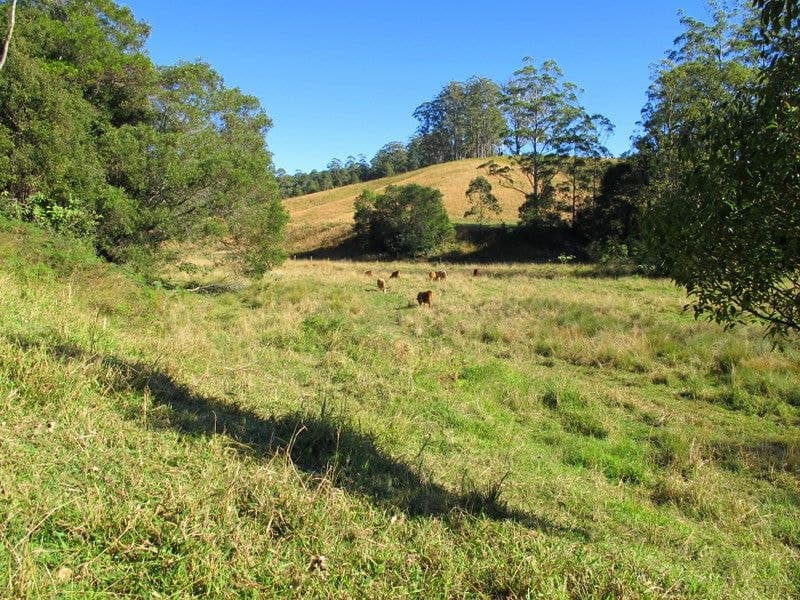 1690 Bowraville Road BELLINGEN NSW, Bellingen - Thumbnail 4