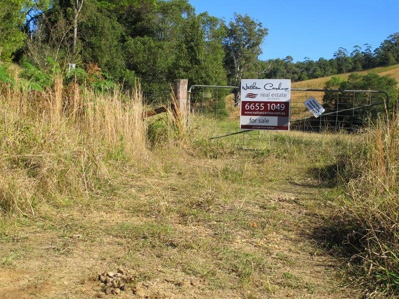 1690 Bowraville Road BELLINGEN NSW, Bellingen - Thumbnail 6