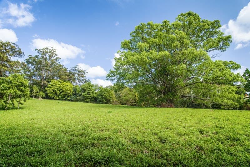 Lot 8 7-11 Hyde St Fernmount BELLINGEN NSW, Bellingen - Thumbnail 2