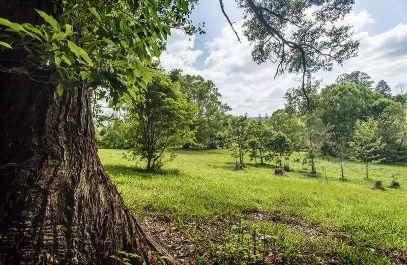 Lot 8 7-11 Hyde St Fernmount BELLINGEN NSW, Bellingen - Thumbnail 3