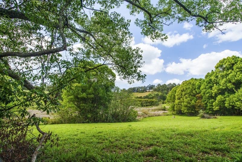 Lot 8 7-11 Hyde St Fernmount BELLINGEN NSW, Bellingen - Thumbnail 7