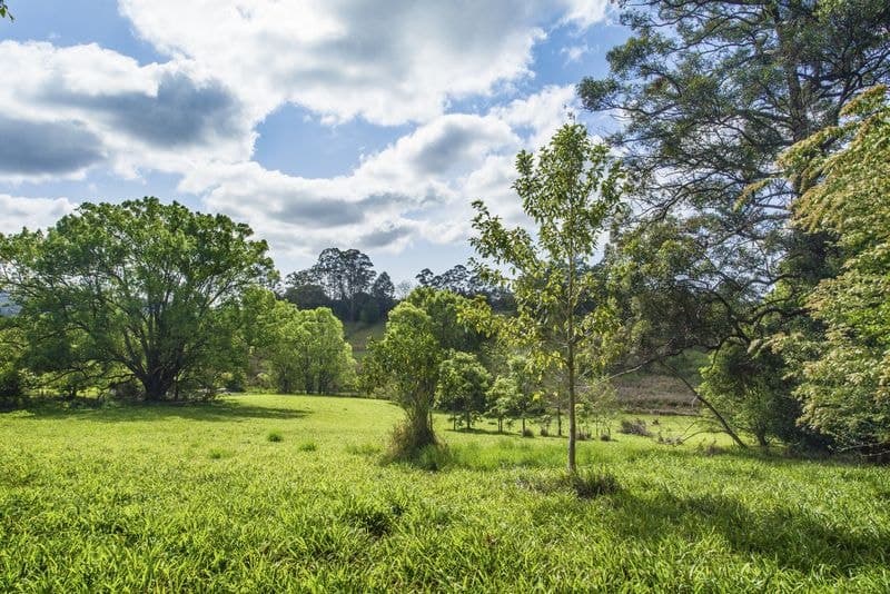 Lot 8 7-11 Hyde St Fernmount BELLINGEN NSW, Bellingen - Thumbnail 8
