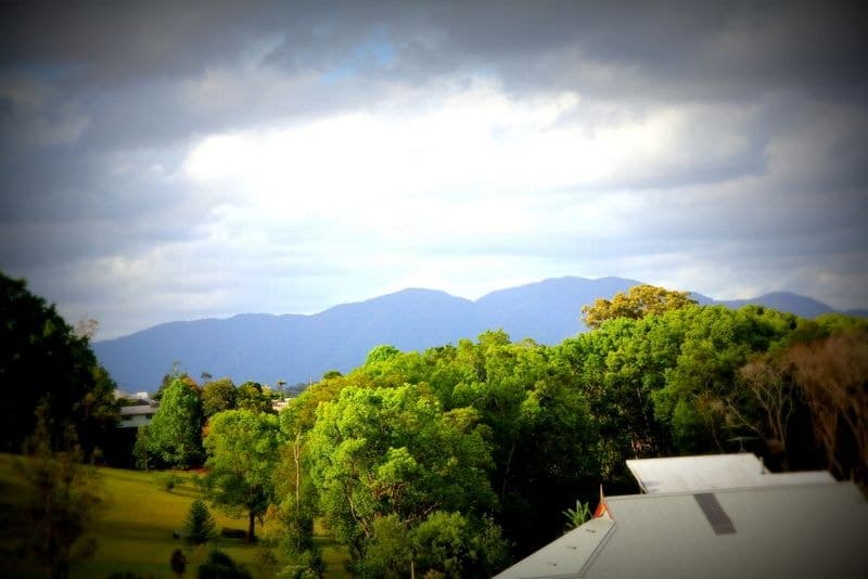 12 Red Cedar Place BELLINGEN NSW, Bellingen - Thumbnail 7