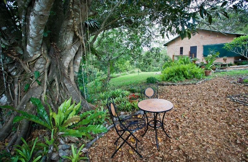 1369 South Arm Brierfield BELLINGEN NSW, Bellingen - Thumbnail 3