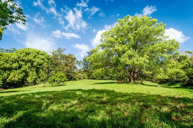 Lot 1/1-5 Hyde St FERNMOUNT NSW, Fernmount - Thumbnail 2