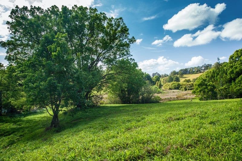 Lot 1/1-5 Hyde St FERNMOUNT NSW, Fernmount - Thumbnail 4